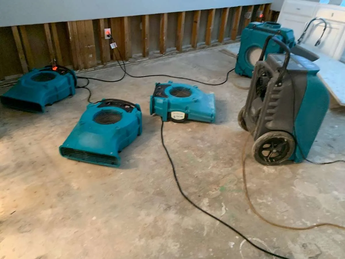 Drying & Dehumidification in Selma, TX